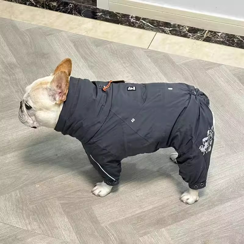 Winter Clothing In French - French Bulldog Clothing Jumpsuit Winter Pug