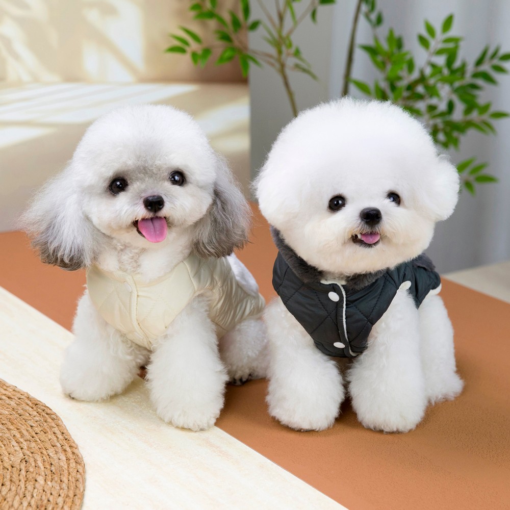 Winter Dog High Collar Jacket  - Winter Clothing In French recension och pris