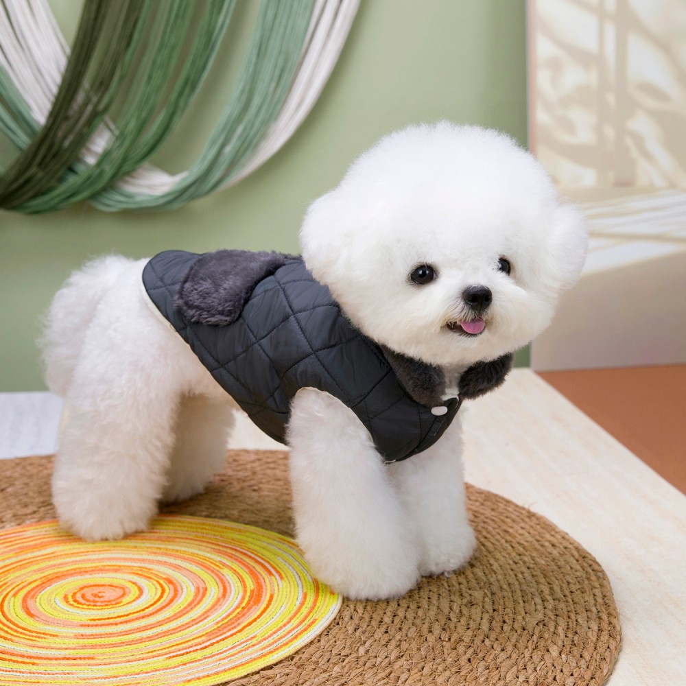 Winter Dog High Collar Jacket  - Winter Clothing In French recension och pris