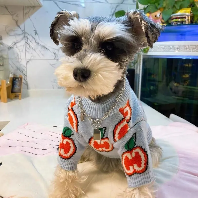 Letter Sweater Pet Dog Clothes - Winter Clothing Boys recension och pris