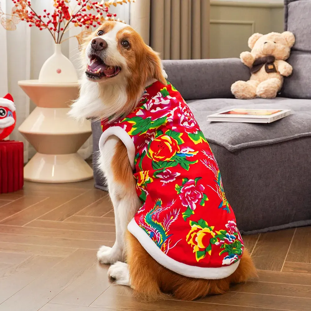 2025  winter dog clothing dog  - Winter Clothing Name recension och pris
