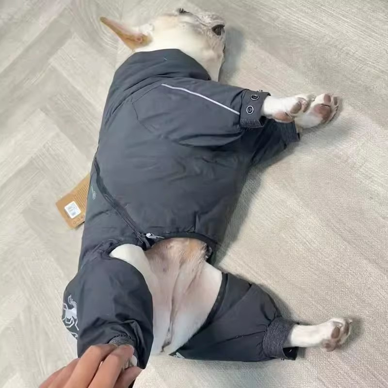 French Bulldog Clothing Jumpsu - Winter Clothing In French recension och pris