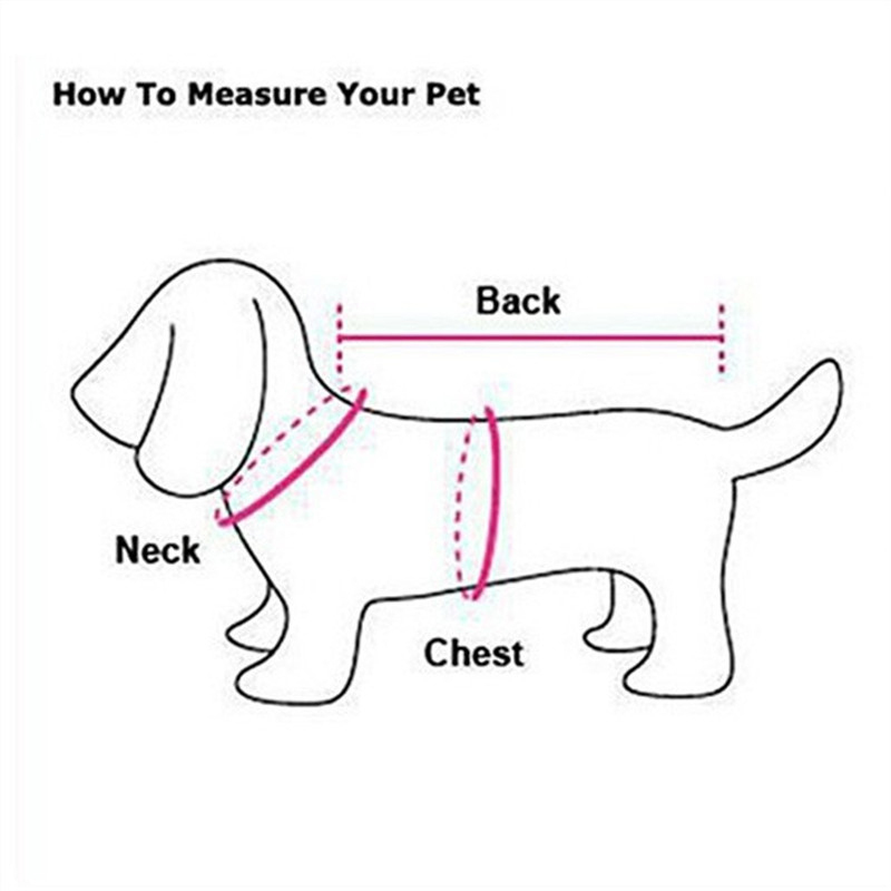Pug Dog Coat Jacket Winter Fre - Winter Clothing In French recension och pris