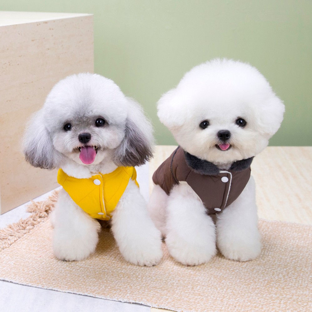 Fur Collar Winter Pet Dog Jack - Winter Clothing In French recension och pris