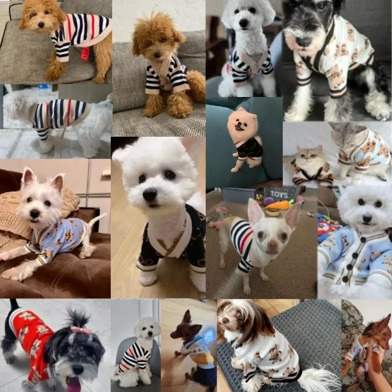 Luxury Small Dog Winter Clothe - Winter Clothing In French recension och pris